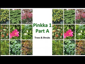 Trees & Shrubs with Their Scientific Names | Plant Identification Guide 🌳