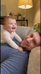 This baby and parrot screaming momy together had me crying 😂🦜👶 The baby’s smile at the end is pure GOLD 😭❤️ Parrot really said I can talk louder than you little human 🤣🔥 #funnyreels #usareels #viralusa #babyfunny #babytok #parrottok #familycomedy #cutevideos #funnyanimals #lolmoments #uscomedy #fypusa #trendingreels #viralfamily #momlifeusa #dailyhaha | Talking Parrots
