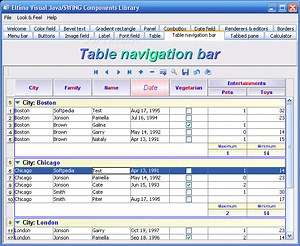 Java Swing Programming