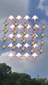 flying kites | Divine Blessings