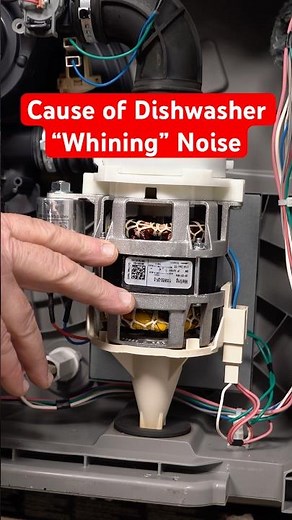 What Causes a Dishwasher to “Whine”?