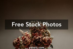 Free Colorful Modern Room Background Photos