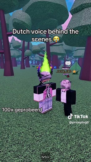 Behind the Scenes of Dutch Voice in Roblox