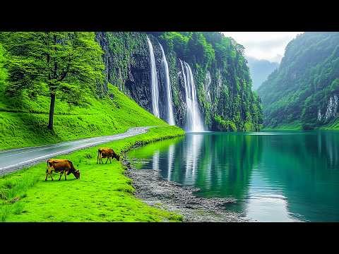 Healing Music for the Heart & Mind 🌿 Relaxing Nature Sounds for Stress Relief & Deep Sleep #1