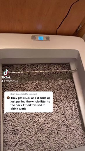 Troubleshooting Self-Cleaning Litter Box Accidents