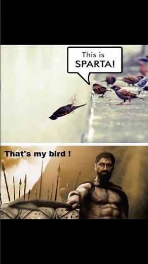 Sparta memes #sparta #memes #sabaton