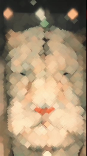 #fyp #islandwide #srilankan_tik_tok #srilanka #hotbouncer #vip #trending #trendingvideo #viralvideo #foryoupage #flexyourfreestyle #follower #sexy