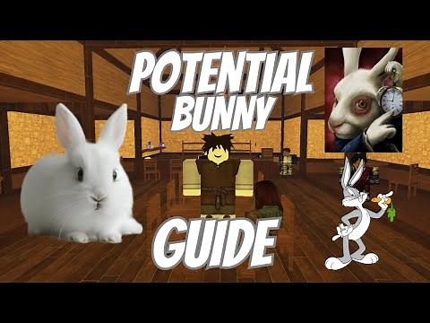 The Solo POTENTIAL BUNNY GUIDE (An Average Campaign)