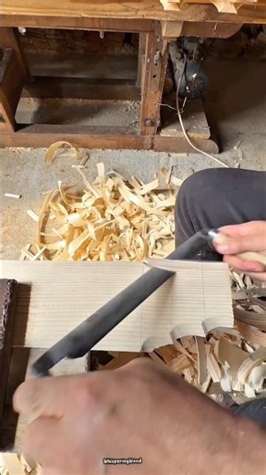 Shingle art made from spruce wood. Arta cu sindrila din lemn de molid. #diy #shortvideo