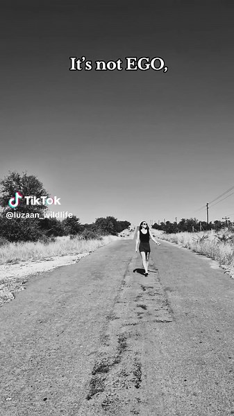 ✌️🤍🐆 #teachingwildlifephotography #travelcontentcreator #southafrica #southafticantiktok🇿🇦 #mypassioniswild #tiktoksouthafrica🇿🇦 #contentcreator #wildlifecontentcreator #traveltiktok #limpopotiktoker