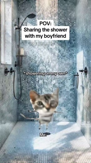 Real Cat Memes on Instagram: "follow @cat_memes_hub_ for non-stop laughs and cat chaos! 😹🐾 funny cats = instant mood fix! 🐱✨ #catmemes #funnycats #catsofinstagram #catlovers #catsofig #instacats #memecats #catcomedy #relatablecatmemes #purrfectmemes #cutecats #catlife #viralcats #dailycatmemes #catreels #funnycatvideos #catsoftheday #memeoftheday #lolcats #catvibes #petmemes #trendingreels #explorepage #viralreels #reelitfeelit"