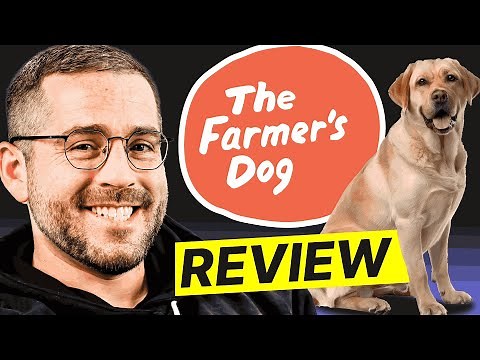 The Farmer’s Dog Review | Is It Worth It for Bigger Breeds Like Labradors?