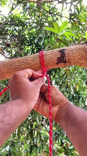 Fast Quick-Release Tree Hitch Secure Tree Hitch in Seconds Ultimate Tree Knot Hack. #shorts