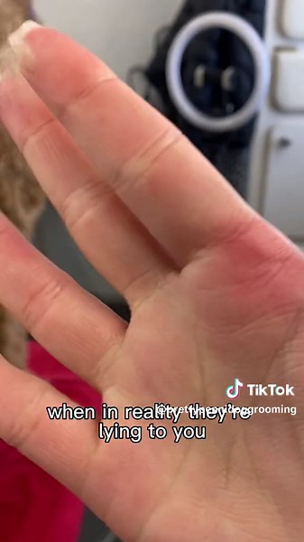 The Truth About Doodle Breeders: Shedding and Hypoallergenic Claims