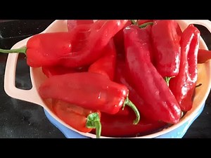 تدبيرة تخزين الفلفل الاحمر الحلو البسيطة...comment conserver les poivrons rouges méthode simple