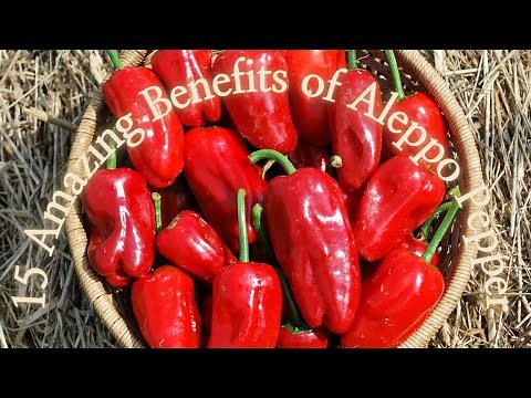 15 Amazing Benefits of Aleppo Pepper