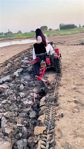 Agricultural machinery manufacturers can be equipped with a variety of farm tools. It has a large horsepower and strong power, and is highly efficient in work. ##Micro-tiller##Tractor##Agricultural machinery##Export trade
