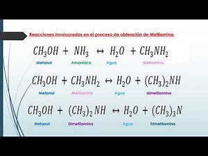 PRODUCCIÓN DE METILAMINAS (MONO, DI Y TRI)