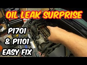 FIXED A MAJOR OIL LEAK IN MY CHEVY CRUZE! ** CODES P0171 & P1101 EASY FIX**