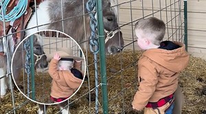 Mom Captures Adorable Conversation Between Cowboy And His Noble Steed
