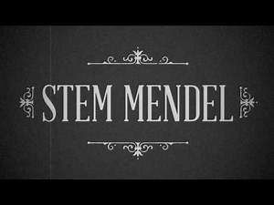 Name Calling Propaganda