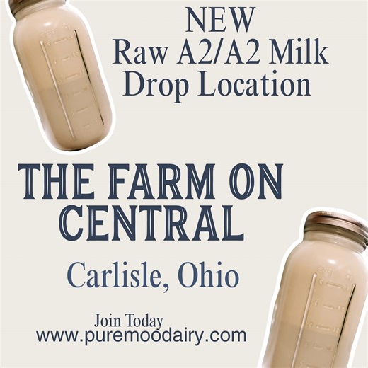 Sarah Ison | Beef, Pork, Chicken, Lamb, Raw milk | Ohio on Instagram: "🥛 NEW RAW MILK PICKUP LOCATION We’re excited to announce a new herd share pickup location for our A2/A2 raw milk at The Farm On Central 🌿 Herd share members can now select this location and pick up on Thursdays after 2 PM—making it even easier to stay stocked with real, nutrient-dense milk from cows you know and trust. This is about accessibility, transparency, and supporting local food systems—one pickup at a time. 👉Join: