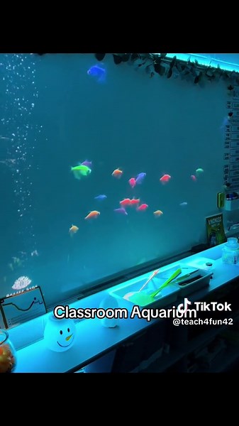 Classroom Aquarium: Engaging Teachers of TikTok