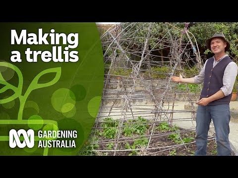 How to build a trellis for your climbing plants | DIY Garden Projects | Gardening Australia