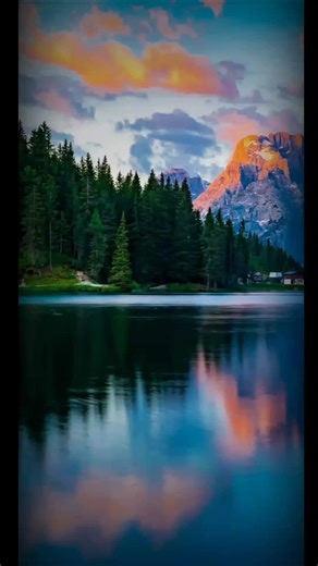 가족 구성원 명칭 배우기