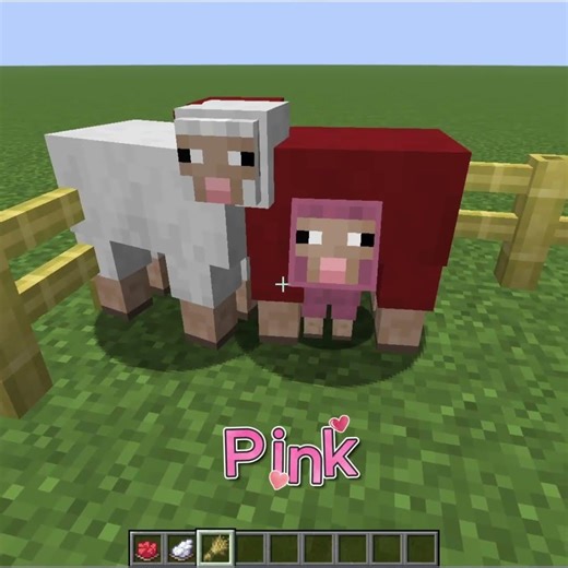 Minecraft sheep colour mixing... #deku