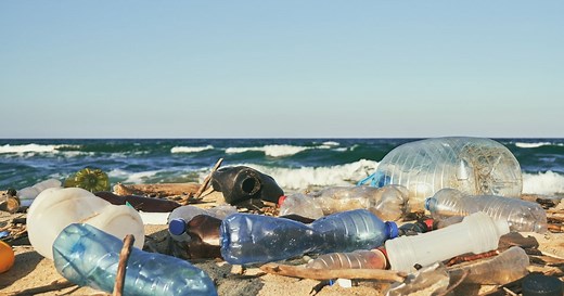 About the Nurdle Minigame