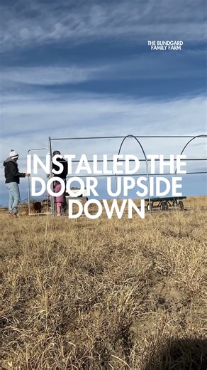 Chicken Run Build: The Struggle Was Real… But Worth It. #homestead #chickens #farmvlog