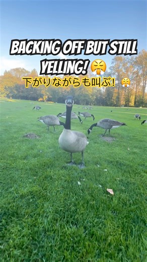 Backing Off but Still Yelling! 😤 下がりながらも叫ぶ！