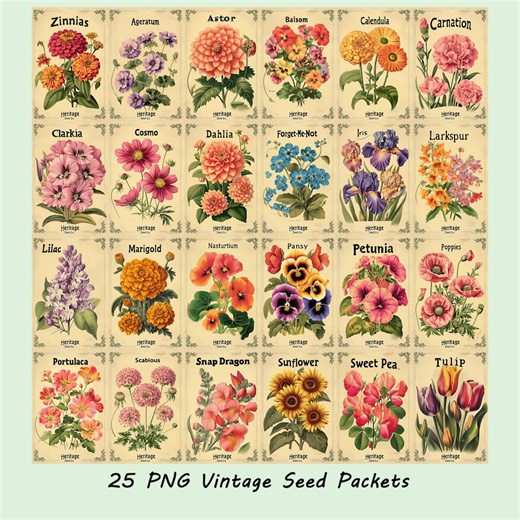 Vintage Flower Seed Packet Clipart: 25 PNG Antique Floral Designs (digital Download) - Etsy