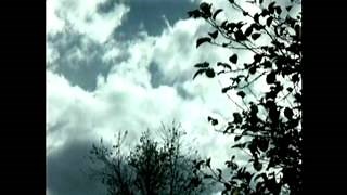"I can't wait" by Kieran Kane, Kevin Welch & Fats Kaplin Chords - ChordU