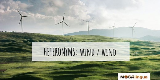 Wind vs Wind: What's the Difference? - MosaLingua