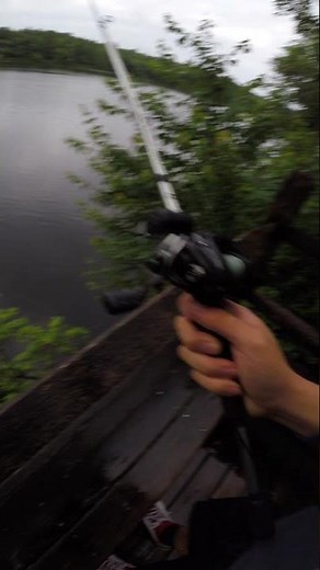 whopper plopper blow-up FIRST CAST (Massachusetts Bass Fishing) #shorts