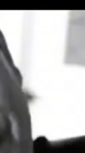 kataleya (@kataleya_eya)’s videos with kataleya - kataleya