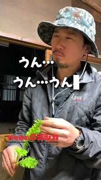 東京から最も近いど田舎でわさび菜食べてみた！わさび菜の美味しさを伝えたい #秋の谷のクラシカ