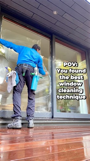 POV: you found the best window cleaning technique