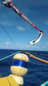 14 reactions | #mego | Alvin Fishing | Facebook