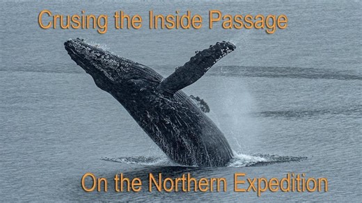 Northern Expedition Prince Rupert to Port Hardy The "Inside Passage" a 16 hour Ferry adventure WILD! | Mike Messner