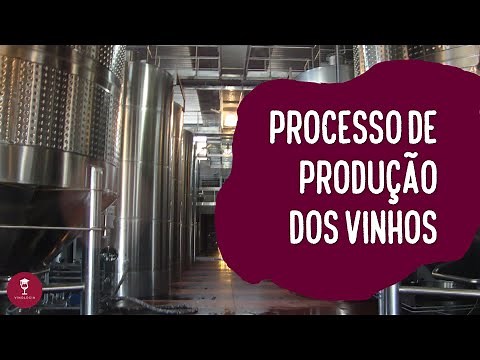 Conheça o processo de produção de vinhos