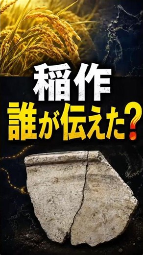 The history of Japanese rice cultivation is being shaken #YayoiPeriod #RiceCultivation #AncientJa...