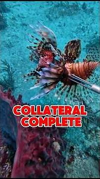 There are many ways to blast a Lionfish, but as long as they’re no longer in the ocean