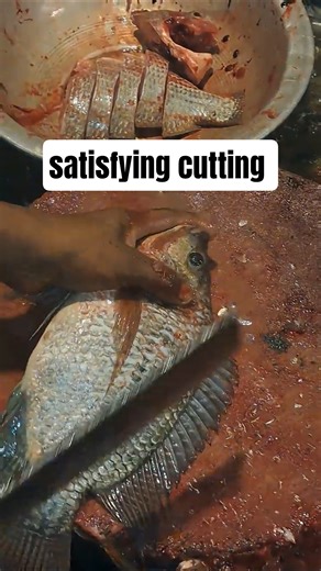 How to Cut Tilapia Like a Pro 🐟 | Satisfying Fish Fillet Skills