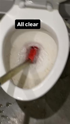 RooterX • Drain service• Plumbing on Instagram: "The clogged toilet has been cleared and is now fully operational🚽🪠🧻"