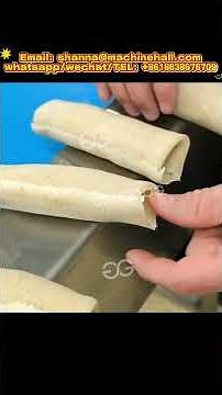 How to Start a Spring Roll Manufacturing Factory?