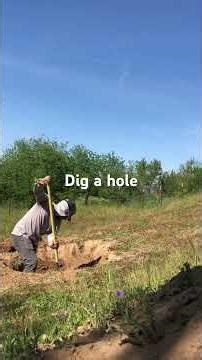 Dig a hole