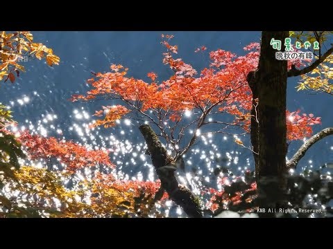 【旬景とやま】晩秋の有峰｜KNB news every.｜KNB WEB｜北日本放送｜ラジオ・テレビ局発！富山の最新情報サイト